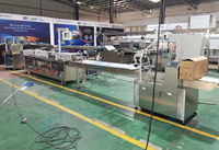 Machine automatique Skywin haute productivité pour le remplissage et l'étiquetage de biscuits sandwichs, sachets, pochettes et films plastiques