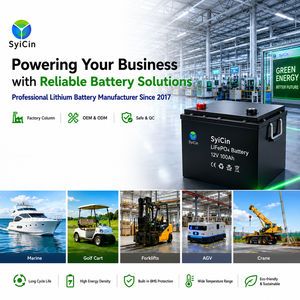 Wholesale Custom Lithium <b>Battery</b> <b>12v</b> 50Ah 100 200Ah Rechargeable for Clean Car Houseboat - Product Image 5