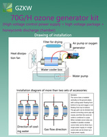 Kit générateur d'ozone 70G/H avec transformateur d'alimentation, traitement de l'eau en nid d'abeille en acier inoxydable 304