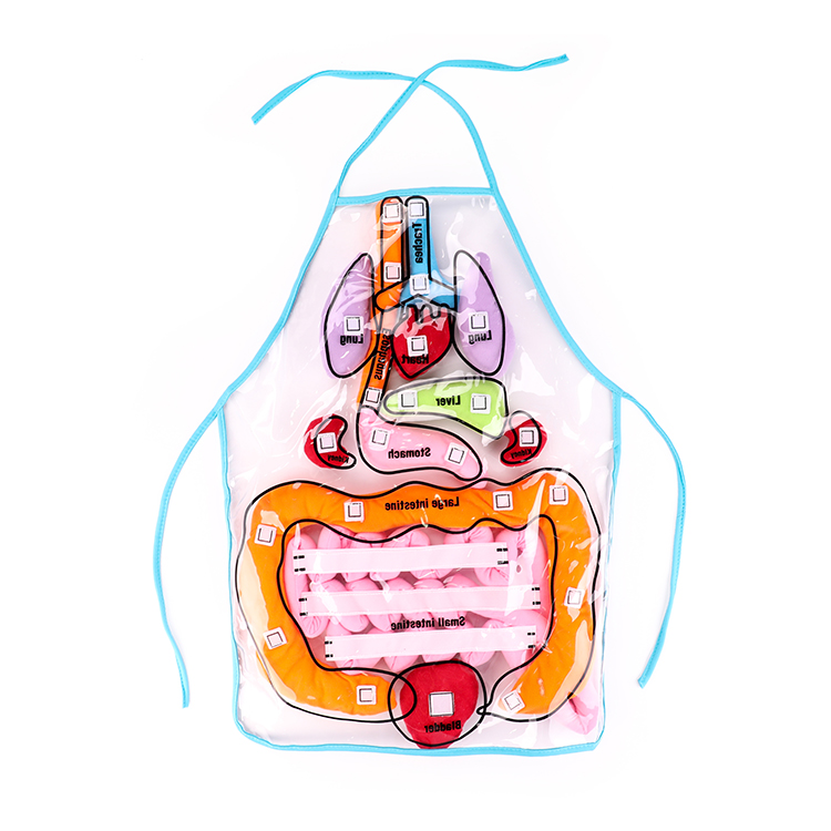 Прямая поставка с завода, фартук для обучения телу, игрушка, сенсорный помощник для детей, другие обучающие игрушки