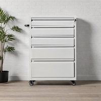 WOMA Chariot d'atelier à 5 tiroirs, armoire à outils, établi en acier personnalisable OEM avec serrure à clé et garantie de 5 ans pour le rangement en atelier sur roues