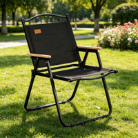 Chaise de camping pliable moderne et légère avec structure robuste pour le camping en plein air, les pique-niques, la plage et les parcs