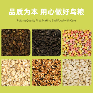 Alimento para Aves, Nuevo Millet Amarillo para Periquitos, Cacatúas y Munias, Alimento Redondo Ecológico para Mascotas, Origen Shandong - Product Image 3