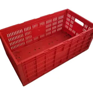 运输鸡蛋托盘塑料鸡蛋运输篮子/箱，用于周转和储存