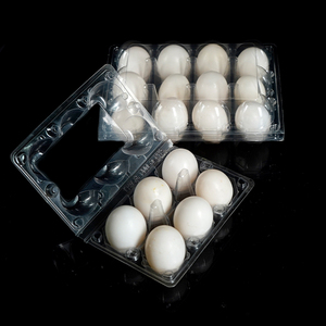 Vassoio per uova di piccione leggero impilabile in plastica per animali domestici vassoio Blister per la conservazione e il trasporto sicuro delle uova
