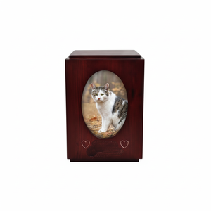 Urnas conmemorativas modernas de estilo americano de alta calidad para mascotas, urnas con marco de fotos de recuerdo para cenizas de gatos y perros - Product Image 1