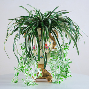 Plante artificielle Miaomiao, plante araignée en soie, verdure suspendue, décoration intérieure, un seul tige, VVD23 - Product Image 2
