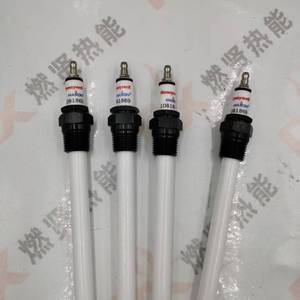 23045 1081869 39829 Tapa de alta presión, Electrodo de encendido, Sonda de detección, Detector de electrodo de enchufe para MAXON Stock - Product Image 5