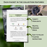Superbe idée cadeau : Kit complet de variétés de légumes, herbes et fleurs anciennes non-OGM pour une plantation abondante et écologique dans votre jardin domestique – 45 pots