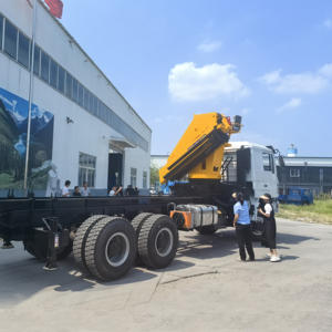 Cina truk derek kecil 10 Ton Knuckle lipat Jib Articulated 5 bagian Boom dijual - Product Image 6