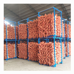 Cebolla fresca amarilla/roja de 6-8cm al por mayor con buen precio 2024 Cultivo más nuevo Exportación de cebolla fresca de alta calidad con HACCP & ISO9001 & GAP - Product Image 4