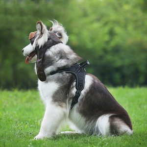 Atacado chapéu de piloto de couro, chapéu quente de couro para cães pequenos, animais de estimação, produto engraçado cosplay, presente de halloween, acessórios para cachorro - Product Image 2