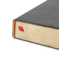 Carnet personnalisé en cuir pour la planification spirituelle, la méditation, l'étude biblique et la réflexion sur les affirmations et les histoires bibliques
