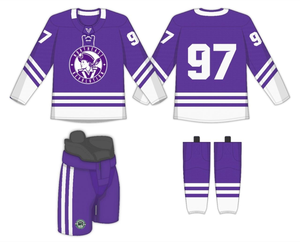 Groothandel Hoge Kwaliteit Op Maat Gesublimeerde Team IJshockey Shirts Hockey Uniformen - Product Image 2