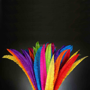 Plumas de Avestruz <span class=keywords><strong>Nando</strong></span> Recortadas de 50-55 cm (18-20 Pulgadas) a Precio de Fábrica, Buena Calidad, para Decoraciones de Carnaval, Accesorios de Disfraces - Product Image 6