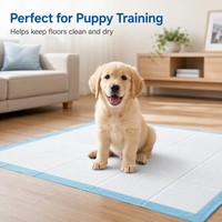 Almohadillas de Entrenamiento para Mascotas Ecológicas y Suaves, con Núcleo de SAP de Alta Retención, Protección Contra Fugas Sellada y Función de Limpieza - Venta al Por Mayor de Fábrica