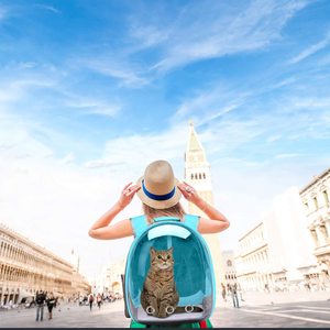 High Quality Transparent Capsule Bag <b>Cat</b> Carrier Outdoor and Shoulders Large Space <b>Cats</b> Pet <b>Backpack</b> - Product Image 6