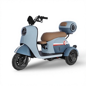 Nouveau modèle de tricycle électrique ouvert pour usage domestique, petit vélo à batterie pour femmes, idéal pour transporter des enfants, véhicule de transport pour adultes et seniors - Product Image 1