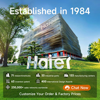 En stock et prêt à être expédié, chauffe-eau solaire à plaque plate pressurisée Haier de haute qualité 180L 300L, système solaire domestique