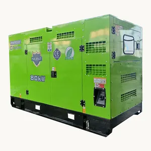 Generatore diesel silenzioso a tre fasi da 24kW/30kVA 220V/110V/60Hz, motore perkings del generatore 30kva 60Hz
