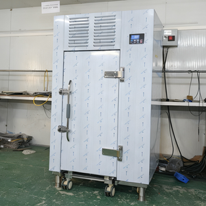 <span class=keywords><strong>ตู้</strong></span><span class=keywords><strong>แช่</strong></span>แข็งแบบรถเข็นพร้อมเตาอบไอน้ำ 16 ช่อง ระบบละลายน้ำแข็งอัตโนมัติ -45 ℃   อุณหภูมิ ทั้งหมด ผลิตจากสแตนเลส 304 - Product Image 4