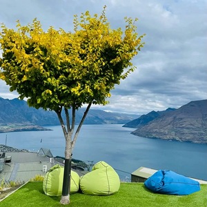 Chaise de plage inclinable portable imperméable Net Green pour camping en extérieur, café et festival de musique - Product Image 3