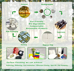 Khay Bên Trong Tùy Chỉnh Bao Bì Phân Hủy Sinh Học Thân Thiện Với Môi Trường Khay Hộp Bột Giấy Đúc - Product Image 6