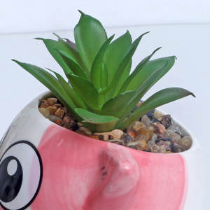 K174 graziosi piccoli vasi succulenti <span class=keywords><strong>con</strong></span> drenaggio 10 cm vasi di <span class=keywords><strong>Cactus</strong></span> carino gatto vaso di <span class=keywords><strong>fiori</strong></span> piccole fioriere per <span class=keywords><strong>piante</strong></span> <span class=keywords><strong>grasse</strong></span> - Product Image 4