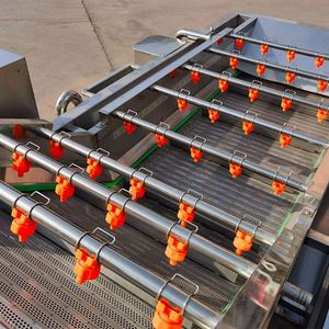 High Quality <strong>Vegetable</strong> Cleaning and Processing Line Full Automatic <strong>Vegetable</strong> Bubble Washer Dryer <strong>Production</strong> Line - Product Image 5