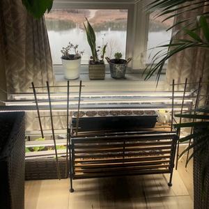 Reemplazo de bombilla de espectro completo T8, luces de <span class=keywords><strong>cultivo</strong></span> hidropónico, luces de 120cm, plantas acuáticas cultivadas <span class=keywords><strong>para</strong></span> <span class=keywords><strong>cultivo</strong></span> de semillas - Product Image 2