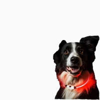 <strong>Best</strong> Selling LED <strong>Dog</strong> <strong>Collar</strong> Adjustable Nylon Anti-Lost Night <strong>Reflective</strong> <strong>Collars</strong> Rechargeable Multicolor Lights for <strong>Dogs</strong>