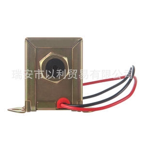 Pompe à carburant électronique 12V 24V Ep-014 pour voiture, pompe à essence et diesel auto-amorçante de remplacement Yl-02001 - Product Image 5