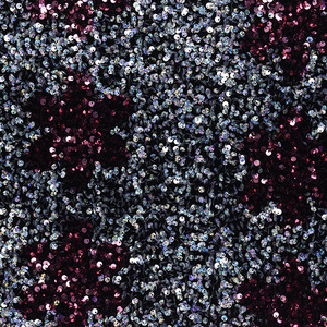 4 <span class=keywords><strong>Way</strong></span> Stretch Thêu Nhung Nhảy Váy Sequin Vải - Product Image 5