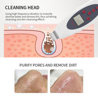 Dispositivo de Spa de Escritorio para Terapia de Mesodermo y Lifting Facial 2026 - Electroporación Antienvejecimiento con Microcorriente y Electroplacado No Invasivo