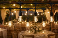 Guirlandes lumineuses LED S14 étanches IP65 pour décorations de fêtes, éclairage extérieur, patio, jardin, mariage, fête