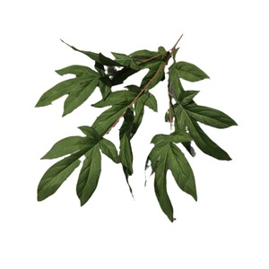 Yixuan <b>Artificial</b> Leaves And <b>Flowers</b> Silk <b>Flower</b> Wedding Decor Injection Molding Eco Friendly <b>For</b> Wedding Hall DIY <b>Arrangements</b> - Product Image 5