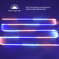 VH SMART LIGHTING Bande lumineuse LED RGBW flexible 24V à changement de couleur pour l'éclairage d'ambiance des divertissements KTV
