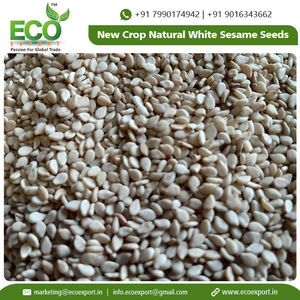 พืชใหม่ธรรมชาติเมล็ดงาสีขาวในราคาที่ต่ำที่มีการบรรจุในถุงที่แข็งแกร่งเมล็ดงาสีขาว - Product Image 5