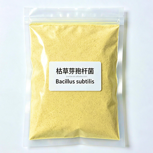 Bacillus Subtilis 100 Mil Millones <span class=keywords><strong>de</strong></span> UFC/g, Aditivo Probiótico Optimizado para la Calidad del <span class=keywords><strong>Estiércol</strong></span>, Materia Prima para Fertilizantes Orgánicos, Ganadería - Product Image 2