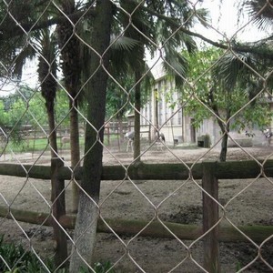Malla de cable de barrera de zoológico de resistencia a mordeduras de fábrica de red metálica de aviario para <span class=keywords><strong>reserva</strong></span> <span class=keywords><strong>natural</strong></span> - Product Image 3