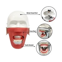 Simulateur de formation dentaire, tête de mannequin fantôme avec modèle de dents, consommables dentaires pour la pratique