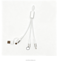Câble de charge en aluminium 2-en-1 de 0,65 pi USB Type C Lightning RPET Écologique Certifié CE Logo personnalisé MOQ 100 pièces Cadeau promotionnel