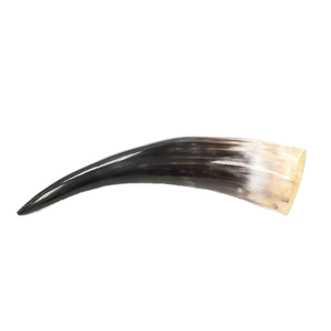 Corne à boire Viking authentique de haute qualité polie corne de boeuf/vache naturelle tasse en céramique de fête personnalisée pour boire de la bière - Product Image 1