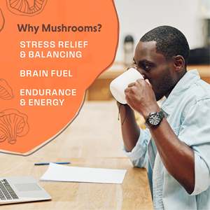 Hữu Cơ cà phê nấm pha trộn bột sư tử bờm Đông Trùng Hạ Thảo Thổ Nhĩ Kỳ đuôi <span class=keywords><strong>maitake</strong></span> Reishi Chaga nấm chiết xuất bột - Product Image 3