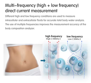 Analyseur de composition corporelle BIA segmentaire à 8 électrodes, ultrasonique, avec reconnaissance faciale, pour clubs de fitness et salons de beauté - Product Image 3