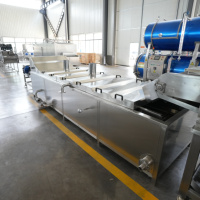 Fruit- en groenteverkookmachine, PLC-gestuurd, SUS 304 roestvrij staal, 400 kg/uur, voor cassave, aardappel, asperges, wortelen, maïs