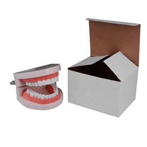 Denti per cure odontoiatriche bambini spazzolatura modello di studio modello dentale educativo modello orale a 28 denti con gengive morbide - Product Image 5