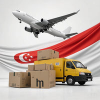 Logistique Ddp Agent de transport de la Chine à Singapour importation de porte à porte moins cher transitaire de fret aérien Yiwu Xiamen