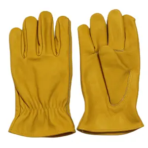 Sarung tangan kulit kambing/domba, warna kuning, sarung tangan kerja pengemudi