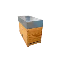 Ruche en polystyrène expansé (PSE) isolée thermiquement, boîte à abeilles EPP résistante aux intempéries, ruche complète pour apiculteurs
